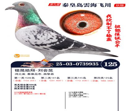 雲海飞川决赛125名