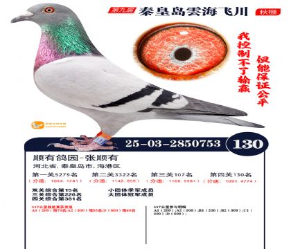 雲海飞川决赛130名