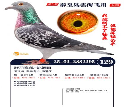 雲海飞川决赛129名