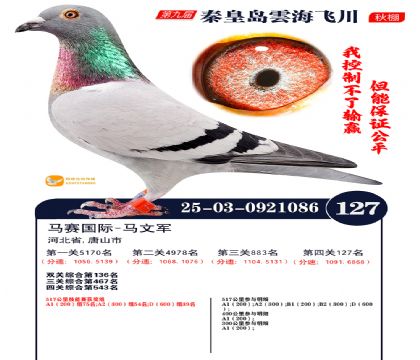 雲海飞川决赛127名