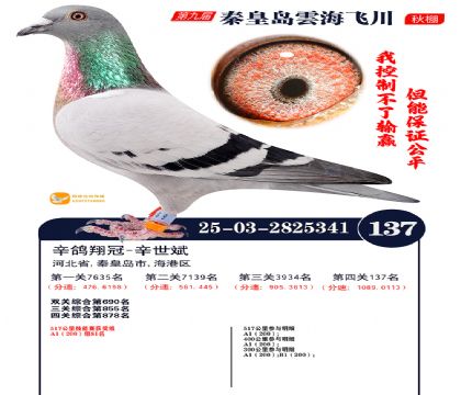 雲海飞川决赛137名