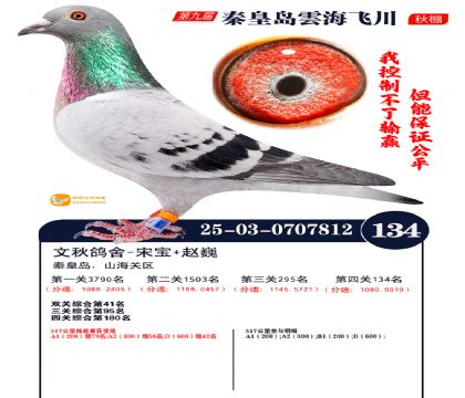 雲海飞川决赛134名