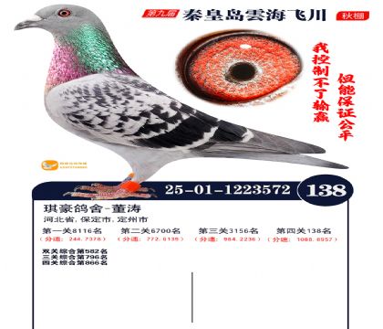 雲海飞川决赛138名