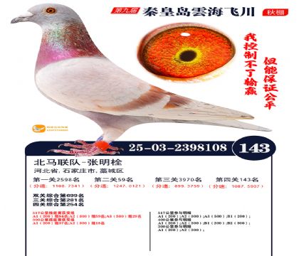 雲海飞川决赛143名