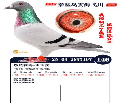 雲海飞川决赛146名