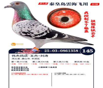 雲海飞川决赛145名