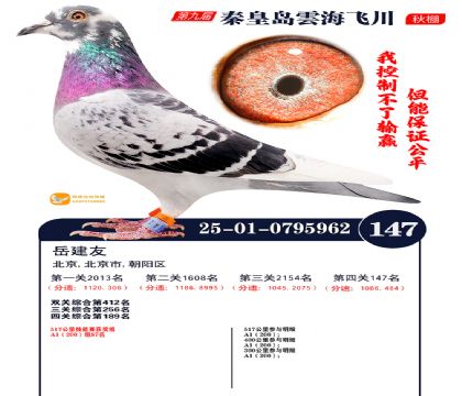 雲海飞川决赛147名