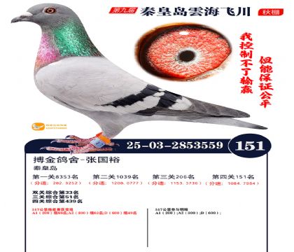 雲海飞川决赛151名