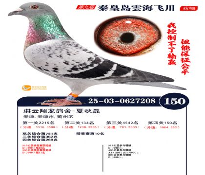 雲海飞川决赛150名