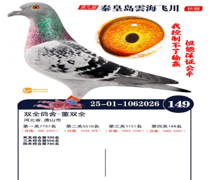 雲海飞川决赛149名