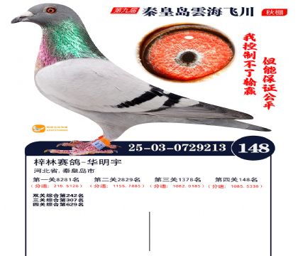 雲海飞川决赛148名