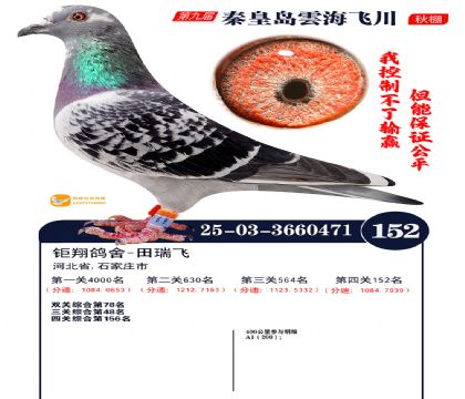 雲海飞川决赛152名