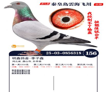 雲海飞川决赛156名