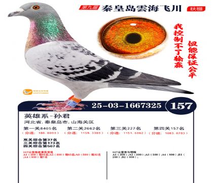 雲海飞川决赛157名