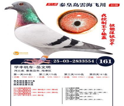 雲海飞川决赛161名