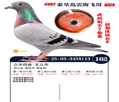 雲海飞川决赛162名