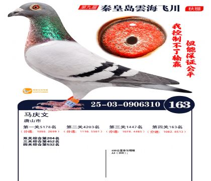 雲海飞川决赛163名