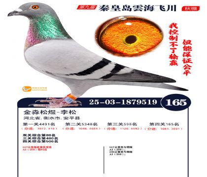 雲海飞川决赛165名