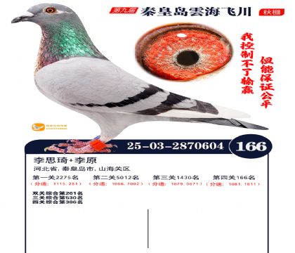 雲海飞川决赛166名