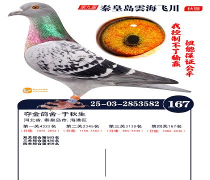 雲海飞川决赛167名