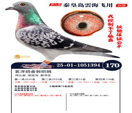 雲海飞川决赛170名