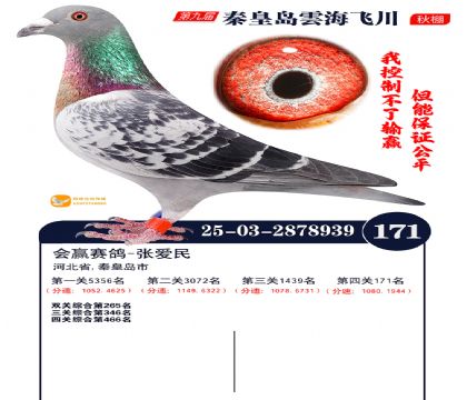 雲海飞川决赛171名