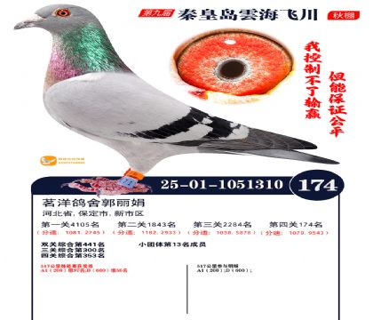 雲海飞川决赛174名