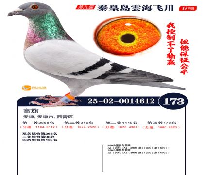 雲海飞川决赛173名