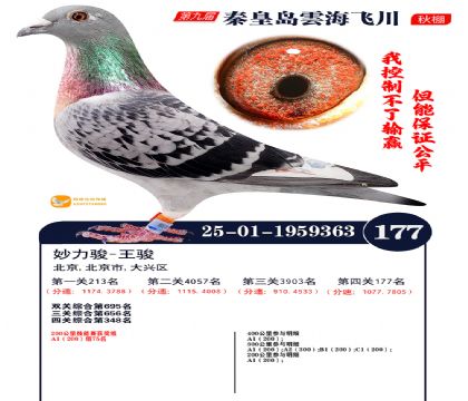 雲海飞川决赛177名