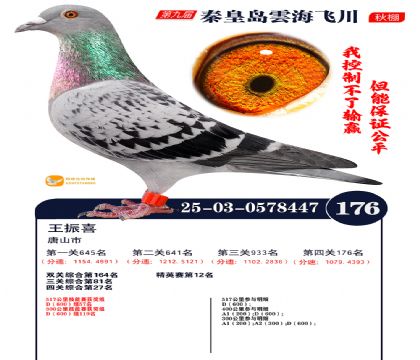 雲海飞川决赛176名