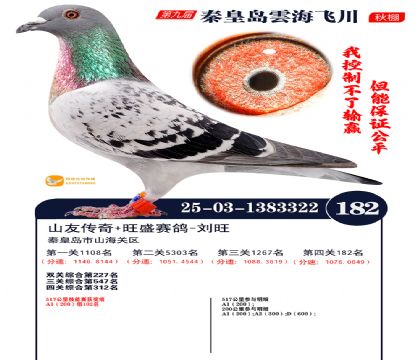 雲海飞川决赛182名