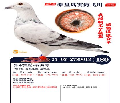 雲海飞川决赛180名