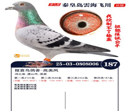 雲海飞川决赛187名