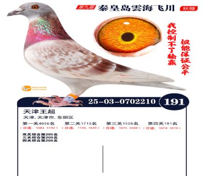 雲海飞川决赛191名