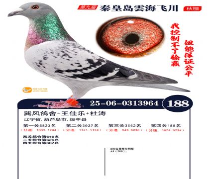 雲海飞川决赛188名