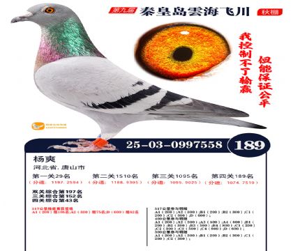 雲海飞川决赛189名