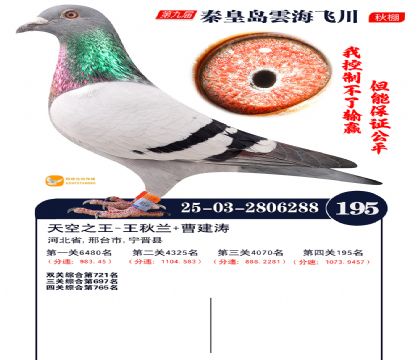 雲海飞川决赛195名