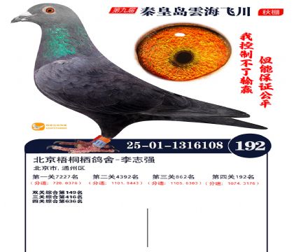 雲海飞川决赛192名