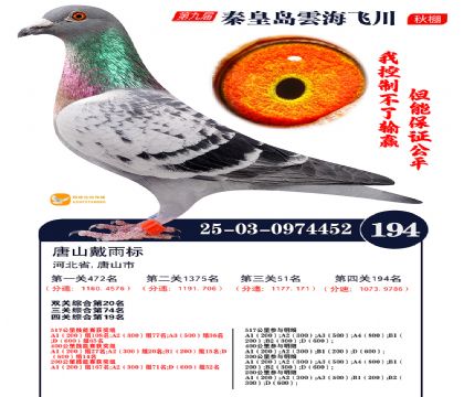 雲海飞川决赛194名