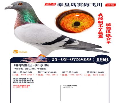 雲海飞川决赛196名