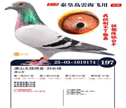 雲海飞川决赛197名