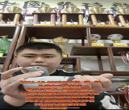 云贵川最佳首选!凡登布克“基特尔”直子X“基特尔”直女