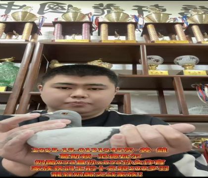 提速法宝!葛斯顿.范德瓦尔奶酪098直孙X098孙女近亲作育