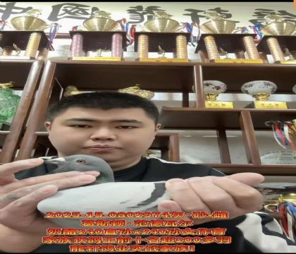 葛斯顿范德瓦尔奶酪240直孙X240孙女作育