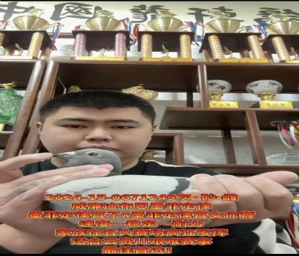 山区克星!威廉迪布恩“墨菲定律”直子X“墨菲定律”直女