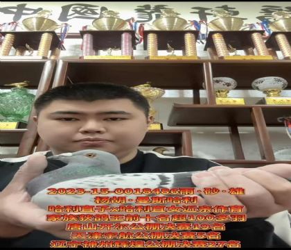 当今公棚利器!杨胡曼斯哈利直子X哈利直女近亲作育