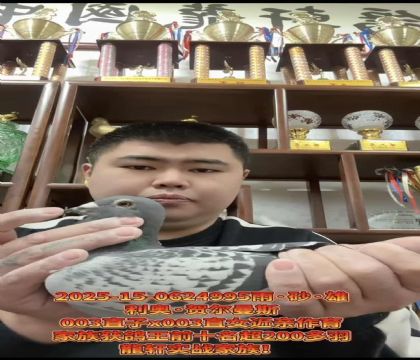 当今公棚提速法宝!利奥贺尓曼斯003直子x直女近亲作育