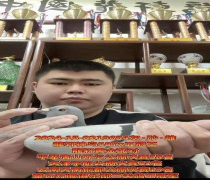 龍轩神鸟587荣获39次冠军百次前十名X五冠王