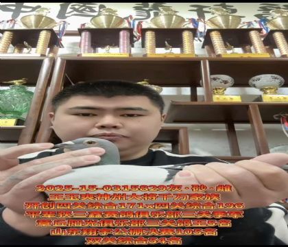 王玉爽神州大将-开创者四关综合171X开创者四关综合196