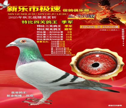 特比四关鸽王季军